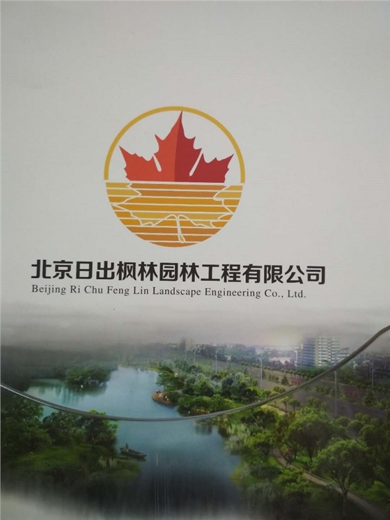 日出楓林園林LOGO墻